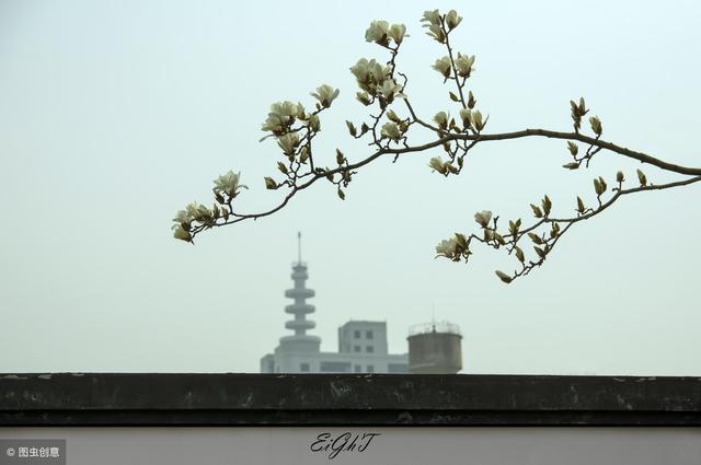 为什么你的短视频播放量低?学会这4点,快速提升制作短视频能力 第5张 为什么你的短视频播放量低?学会这4点,快速提升制作短视频能力 第5张