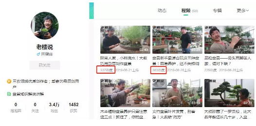50多岁的盆景匠人,在爱奇艺号创作短视频月入过万 第6张 50多岁的盆景匠人,在爱奇艺号创作短视频月入过万 第6张