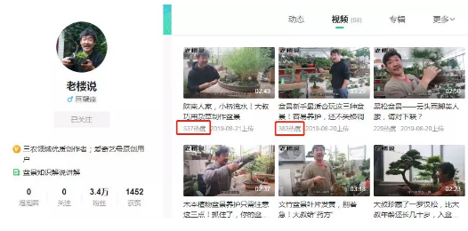 50多岁的盆景匠人，在爱奇艺号创作短视频月入过万  第6张