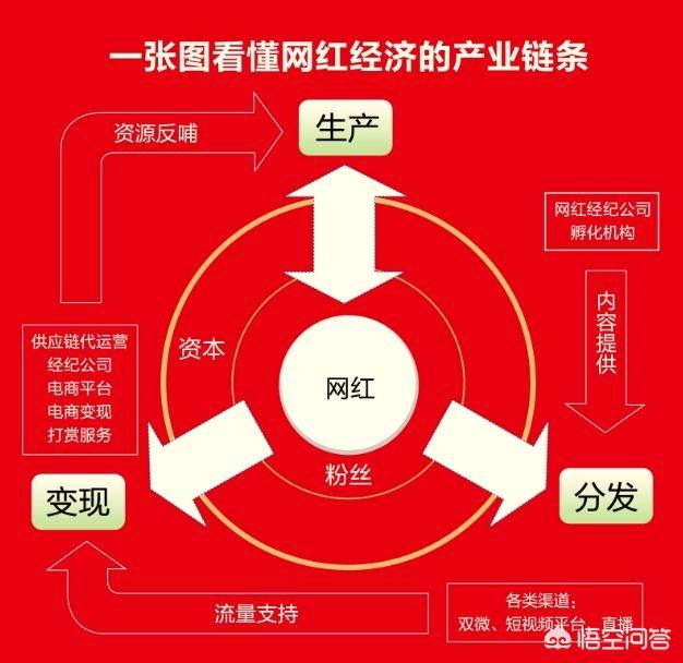 网红是怎样形成的？