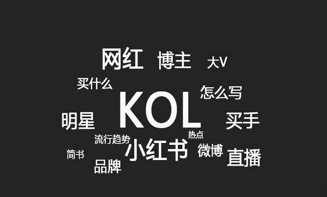 互联网时代下的KOL营销