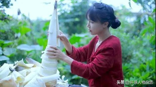 <a href='http://www.mcnjigou.com/?tags=31
' target='_blank'>李子柒</a>公司起诉了！网红与<a href='http://www.mcnjigou.com/
' target='_blank'>MCN</a>之困局，何解？  <a href='http://www.mcnjigou.com/
' target='_blank'>MCN</a> 第12张