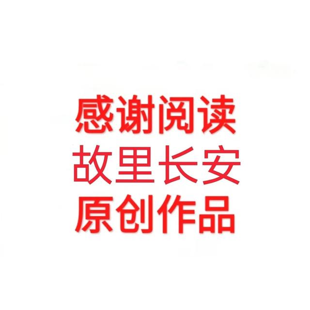在头条拍视频五个月，涨粉22万，收益31000元，仍然感觉很迷茫怎么办？  涨粉 第2张