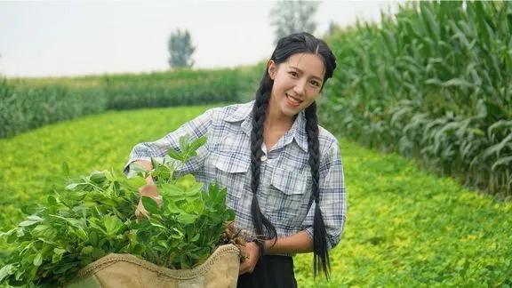 麦小登：纵有疾风起，人生不言弃  纵有疾风起 第3张