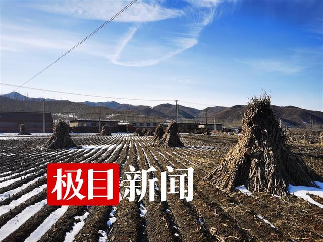 对话“土味顶流”<a href='http://www.mcnjigou.com/?tags=62
' target='_blank'>张同学</a>：曾因创业失败得抑郁症，拒500万买断运营权  <a href='http://www.mcnjigou.com/?tags=62
' target='_blank'>张同学</a> 第6张