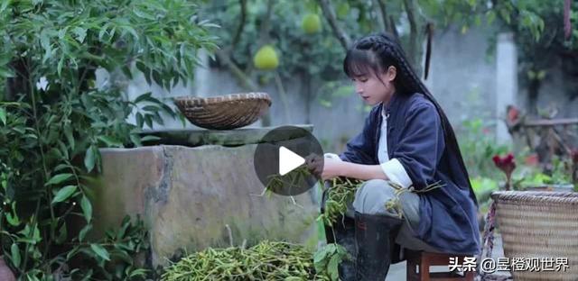 为啥<a href='http://www.mcnjigou.com/?tags=31
' target='_blank'>李子柒</a>最近这么火，她的宣传是正能量还是负能量？  <a href='http://www.mcnjigou.com/?tags=31
' target='_blank'>李子柒</a> 第9张