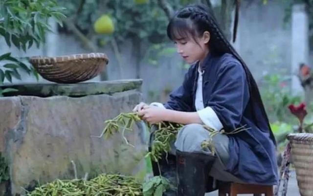 彻底“撕破脸”，<a href='http://www.mcnjigou.com/?tags=31
' target='_blank'>李子柒</a>正面硬刚资本，微念申请<a href='http://www.mcnjigou.com/?tags=31
' target='_blank'>李子柒</a>商标被驳回  <a href='http://www.mcnjigou.com/?tags=31
' target='_blank'>李子柒</a> 第9张