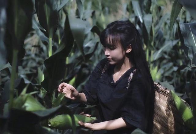 彻底“撕破脸”，<a href='http://www.mcnjigou.com/?tags=31
' target='_blank'>李子柒</a>正面硬刚资本，微念申请<a href='http://www.mcnjigou.com/?tags=31
' target='_blank'>李子柒</a>商标被驳回  <a href='http://www.mcnjigou.com/?tags=31
' target='_blank'>李子柒</a> 第12张