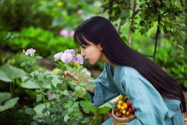 <a href='http://www.mcnjigou.com/?tags=31
' target='_blank'>李子柒</a>：乡村妹子到千万网红，29岁身家过亿，她为何能火遍全球？  <a href='http://www.mcnjigou.com/?tags=31
' target='_blank'>李子柒</a> 第14张