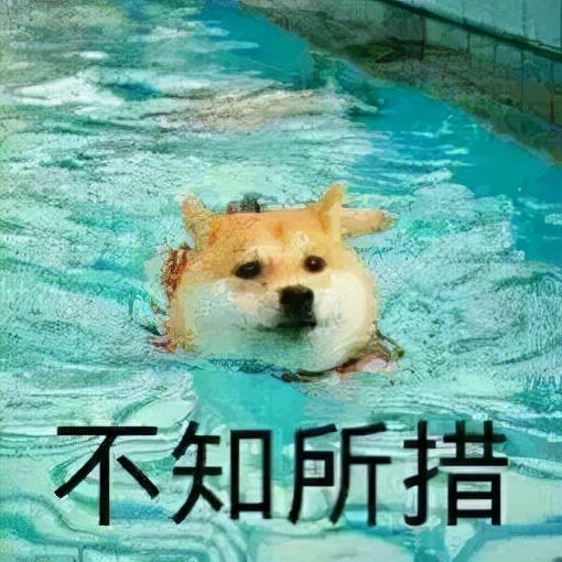 短视频新规出台！<a href='http://www.mcnjigou.com/?tags=3
' target='_blank'>抖音</a><a href='http://www.mcnjigou.com/?tags=4
' target='_blank'>快手</a>集体颤抖  短视频 第16张