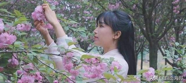 <a href='http://www.mcnjigou.com/?tags=31
' target='_blank'>李子柒</a>是你心目中的网红形象吗？她拍的视频是否是传统文化的精髓？  <a href='http://www.mcnjigou.com/?tags=31
' target='_blank'>李子柒</a> 第4张