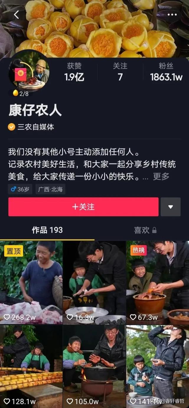 网红康仔农人的真实身份曝光，他家的金花茶园的价值令人惊讶  康仔农人 第11张