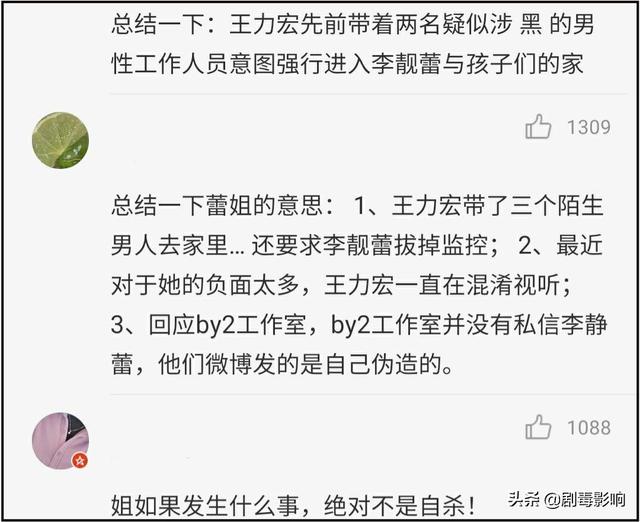 李靓蕾发长文疑暗含1个求救信号，王力宏带3个壮汉看孩子疑点重重  李靓蕾 第10张