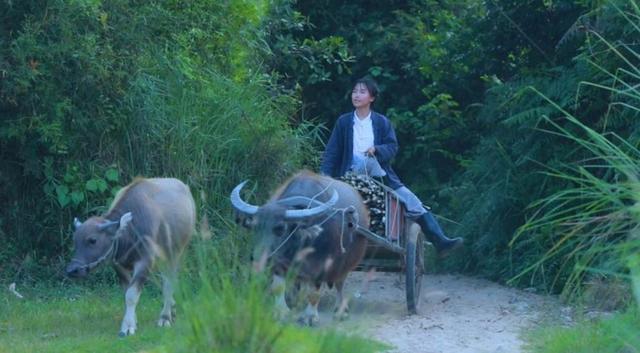 <a href='http://www.mcnjigou.com/?tags=31
' target='_blank'>李子柒</a>和办公室小野，同样是创意内容的生产者，您觉得谁将会走得更远？  办公室小野 第2张