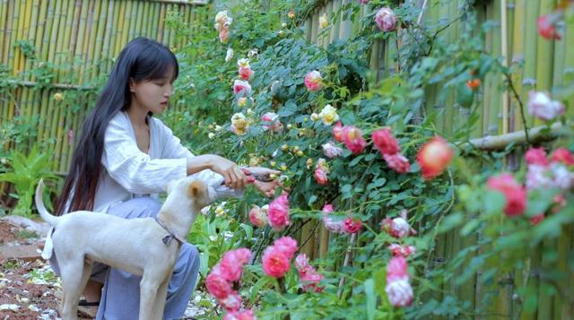 <a href='http://www.mcnjigou.com/?tags=31
' target='_blank'>李子柒</a>和办公室小野，同样是创意内容的生产者，您觉得谁将会走得更远？  办公室小野 第5张