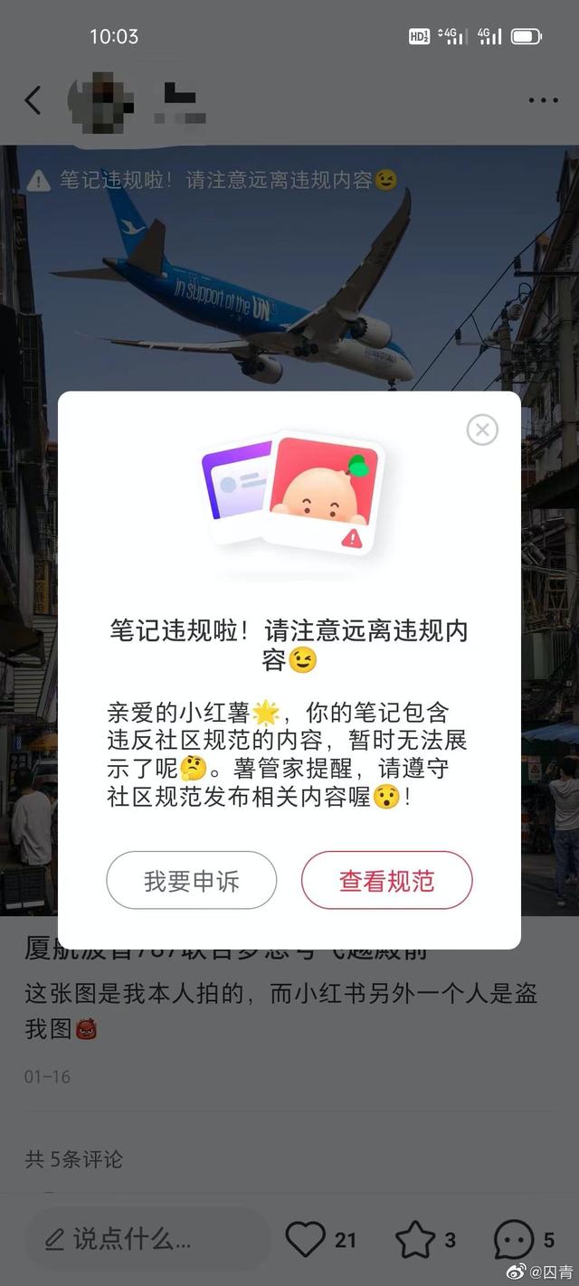 网友吐槽小红书：自己的内容被盗用的人举报，居然还成功了？  小红书 第3张