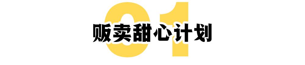 宋智雅的30天：一个网红的疾速坠落  网红 第2张