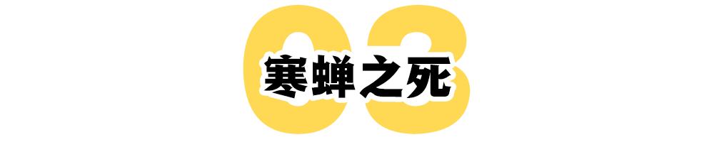 宋智雅的30天：一个网红的疾速坠落  网红 第21张