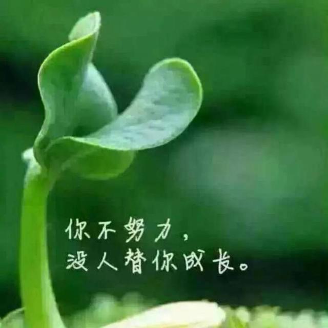 如何涨粉快一些，求大神不吝赐教？  涨粉 第3张