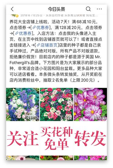 如何获得300w粉丝？「养花大全」传授三大涨粉技巧｜创作大咖说  涨粉 第6张