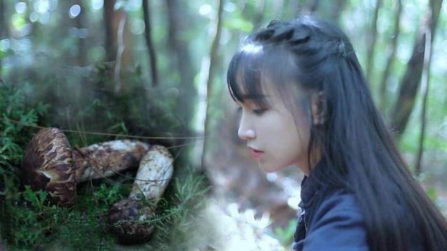 <a href='http://www.mcnjigou.com/?tags=31
' target='_blank'>李子柒</a>视频是摆拍还是真做？  <a href='http://www.mcnjigou.com/?tags=31
' target='_blank'>李子柒</a> 第3张
