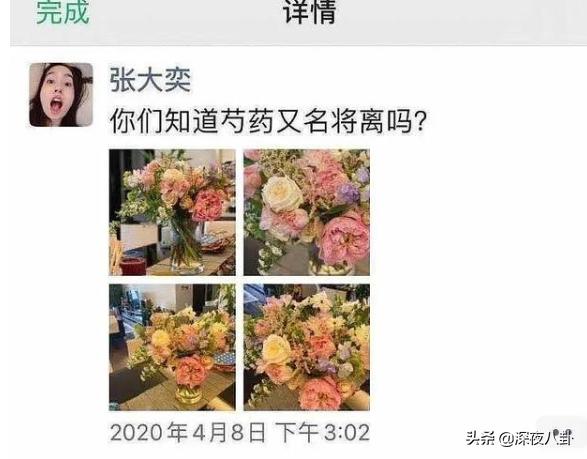 阿里总裁道歉，网红张大奕到底什么来头？  网红 第15张